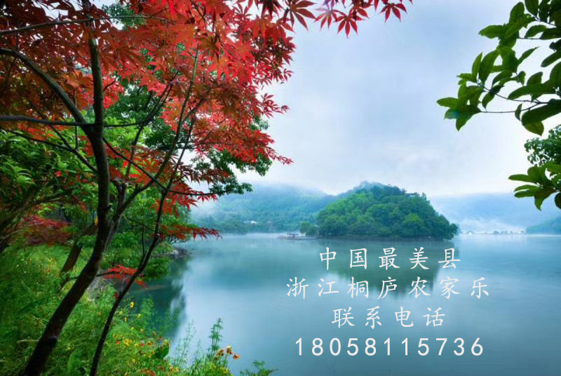附近農(nóng)家樂哪里好吃實惠最最近的/上海/蘇州/無錫/杭州/嘉興