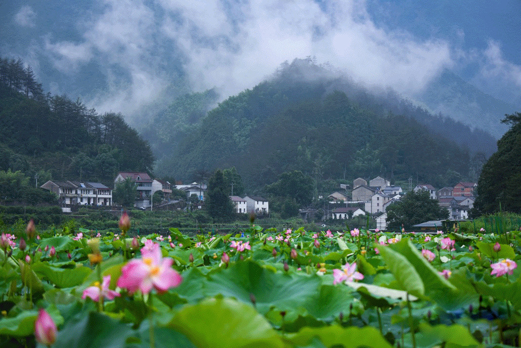 上海周邊農(nóng)家樂(lè)旅游