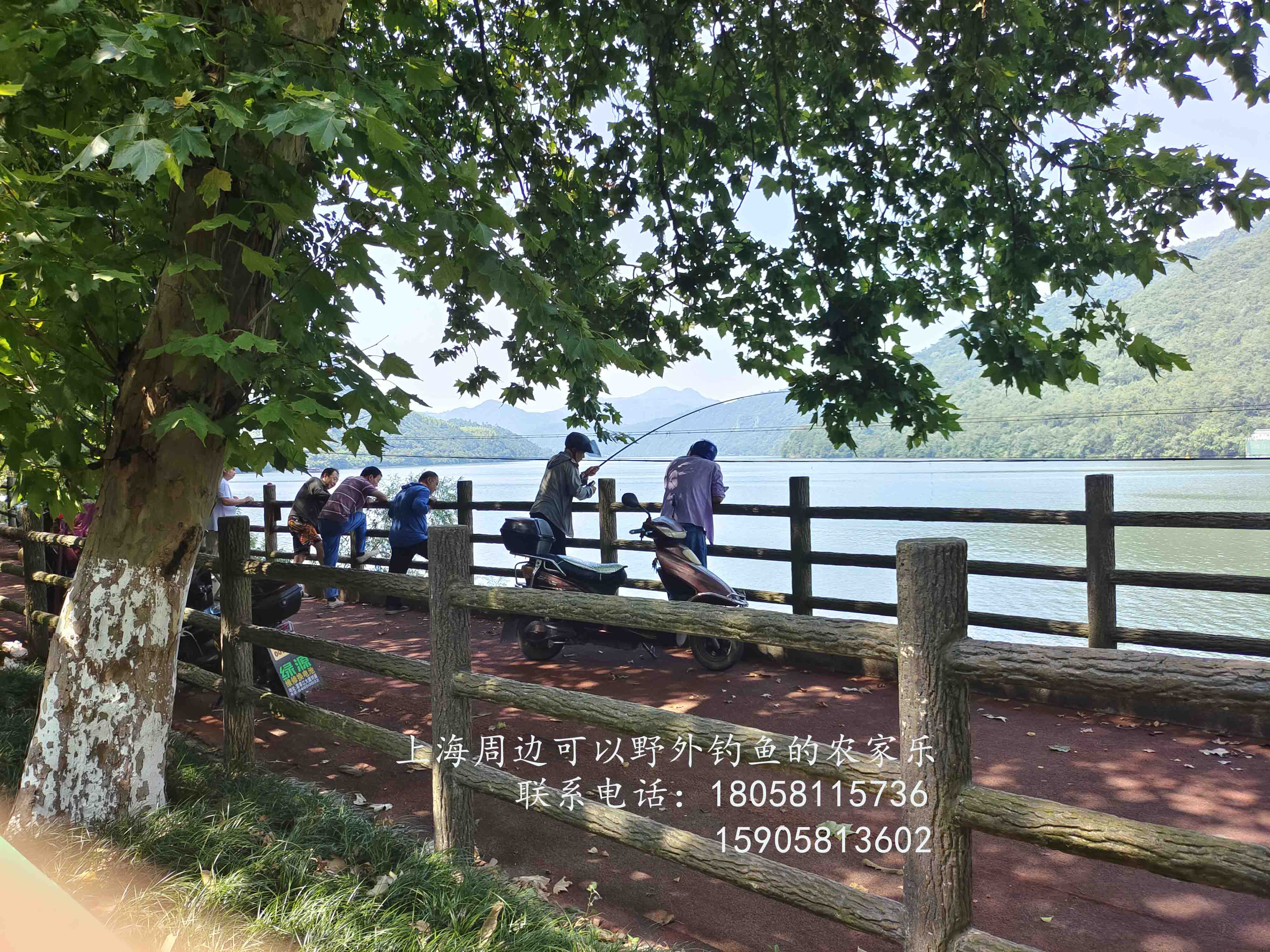 附近農(nóng)家樂哪里好吃實惠最最近的/上海/蘇州/無錫/杭州/嘉興