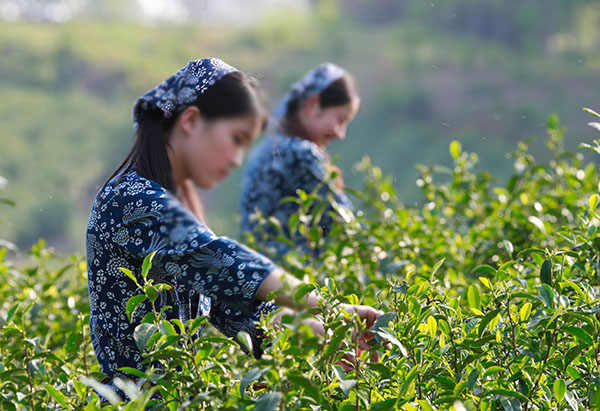上海周邊/挖筍/采茶葉/農(nóng)家樂(lè)/地方/推薦 上海周邊/挖筍/采茶葉/農(nóng)家樂(lè)/地方/推薦